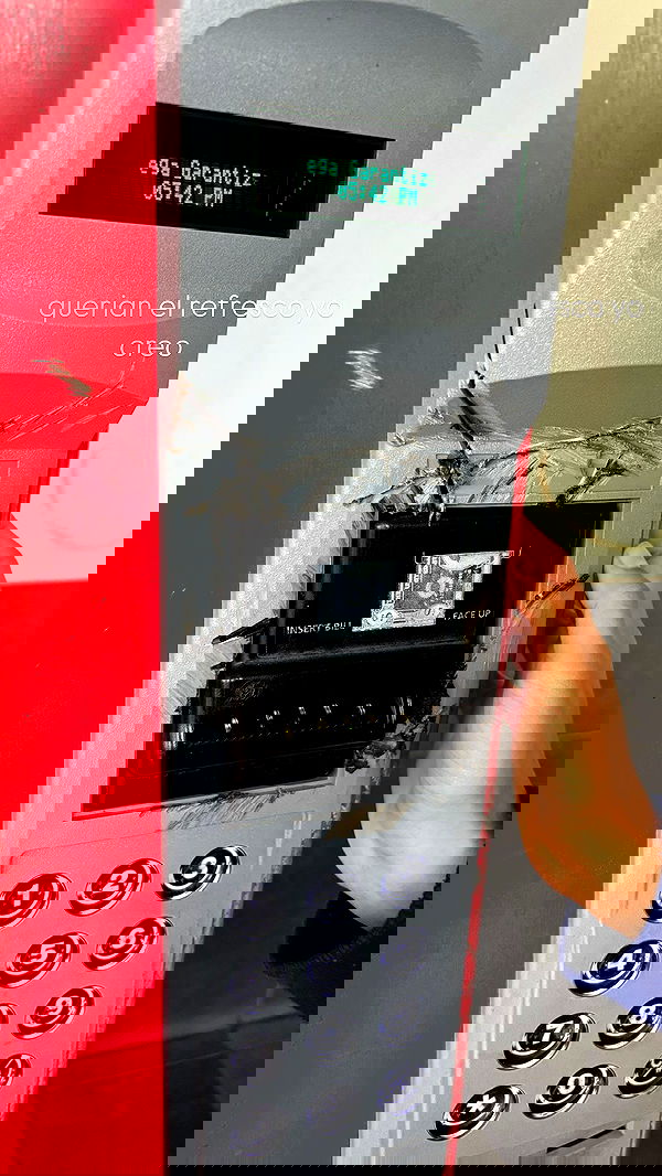 mosssaico mosssaico archive image