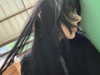 h1k21k0m0r1 Altpins Profile Picture