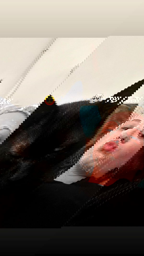 mishel116 mishel116 archive image