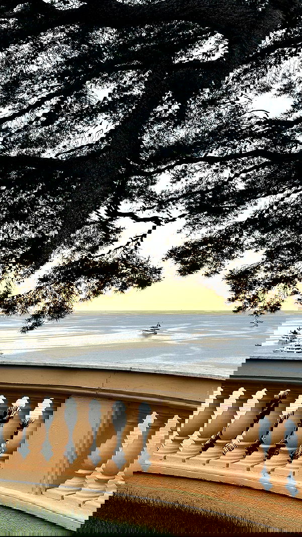 taylor.creeden taylor.creeden archive image