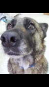 emily_new2 Altpins Profile Picture