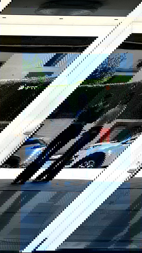 tuliish_ tuliish_ archive image