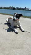 gwenniehughes Altpins Profile Picture