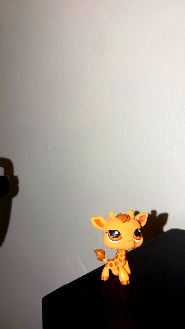 bentevviolet instagram image archive image
