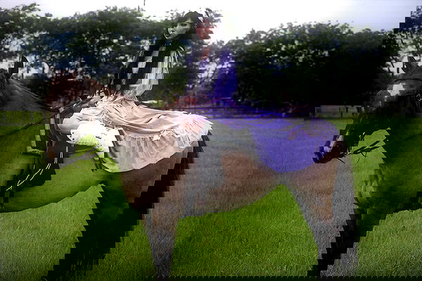 missnyxdawn missnyxdawn archive image