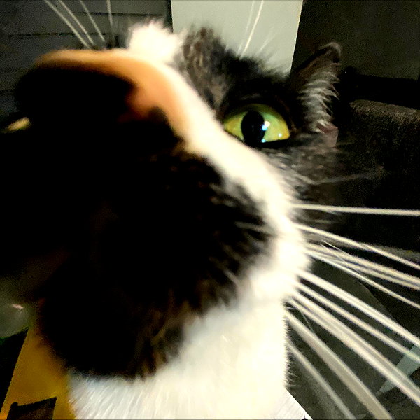 sulisssx instagram image archive image