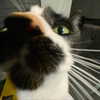 sulisssx Altpins Profile Picture