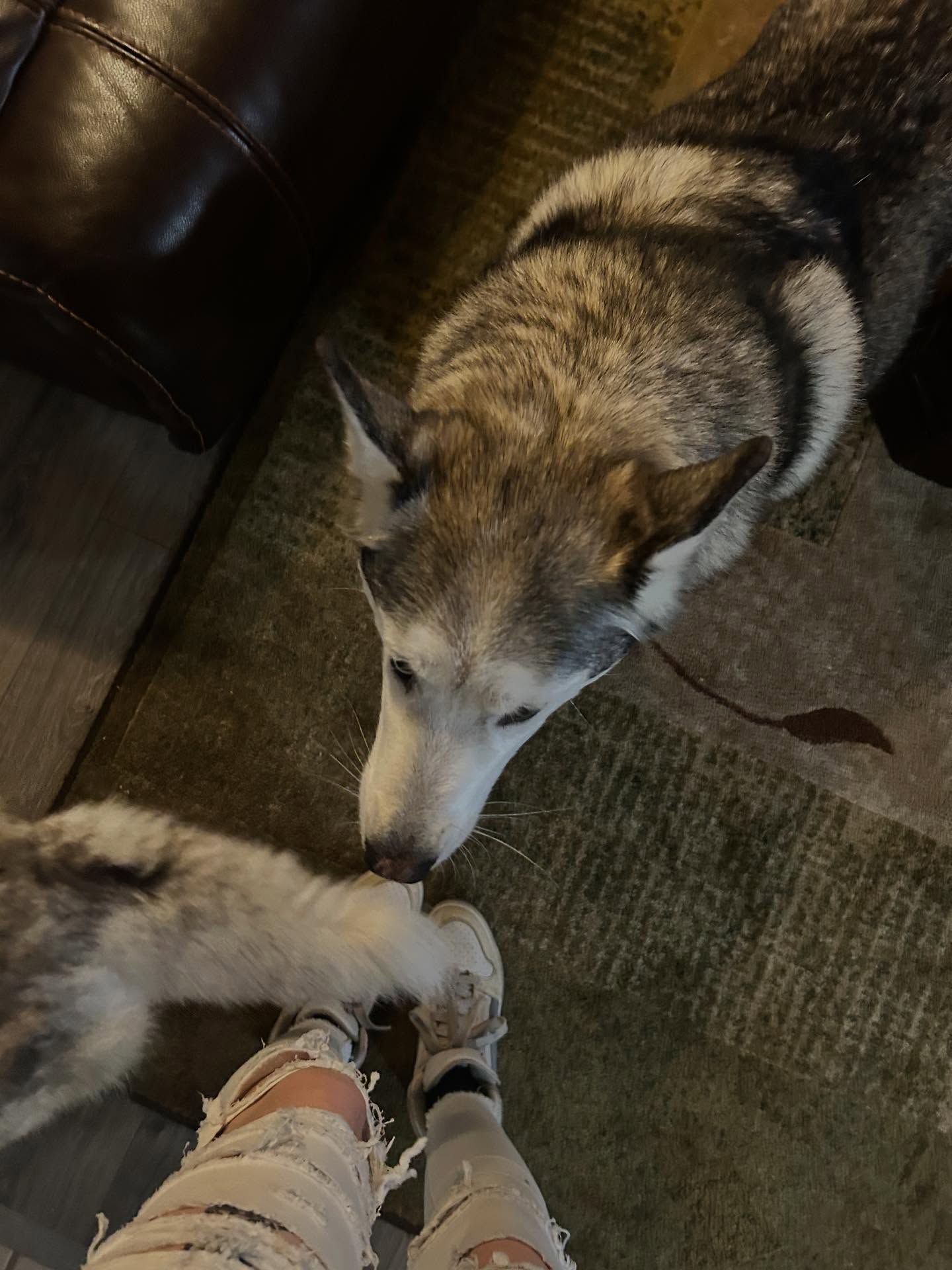 _animechika_ instagram image archive image