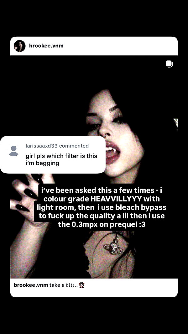 brookee.vnm instagram image archive image