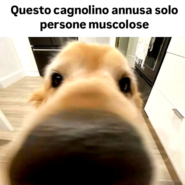 lauraurruu instagram image archive image