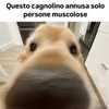lauraurruu Altpins Profile Picture