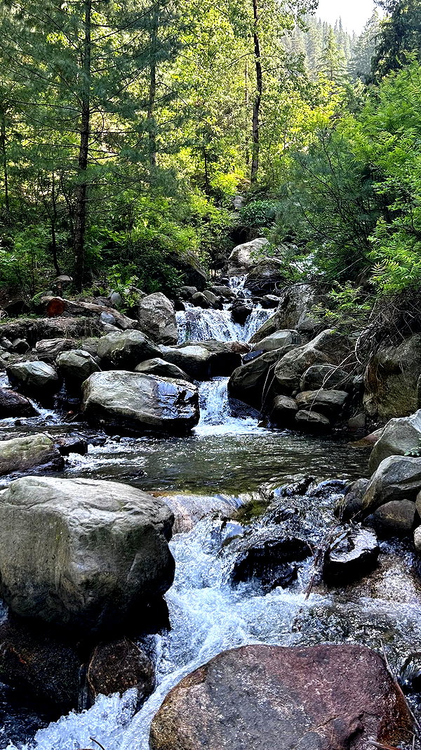 tamar_tsur instagram image archive image