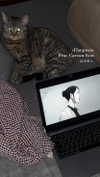 milena_milachich Altpins Profile Picture