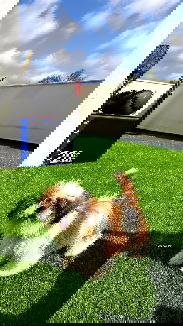 noammalka___ noammalka___ archive image