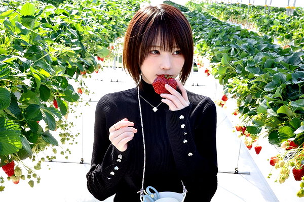 enakorin instagram image archive image