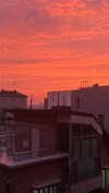 eliya.ho Altpins Profile Picture