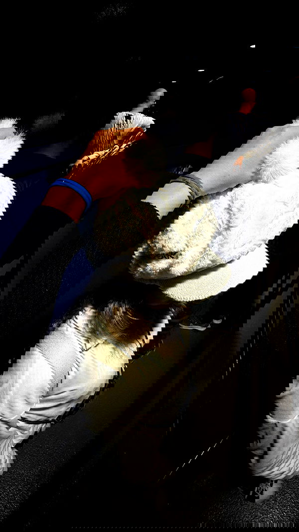 dracuina dracuina archive image