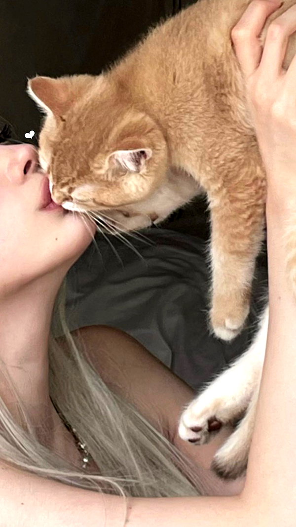 s0meii0 instagram image archive image