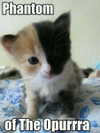 minenmi_ Altpins Profile Picture