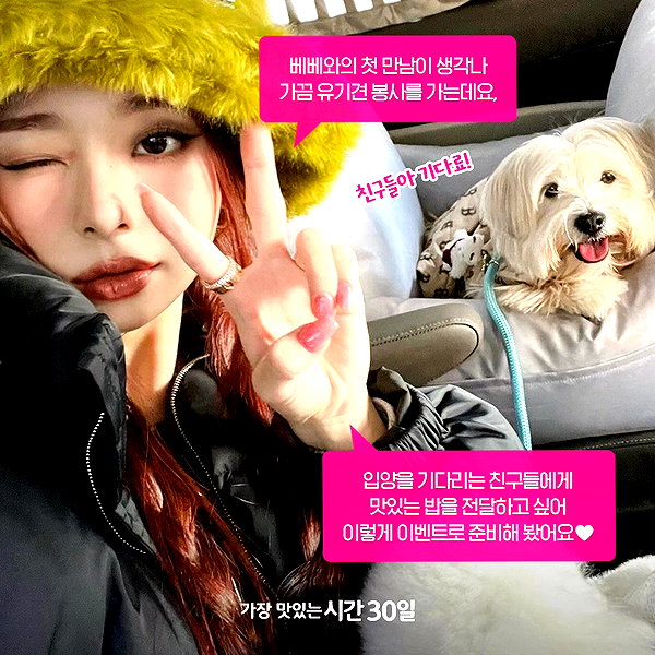 harimpetfood instagram image archive image