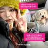 harimpetfood Altpins Profile Picture