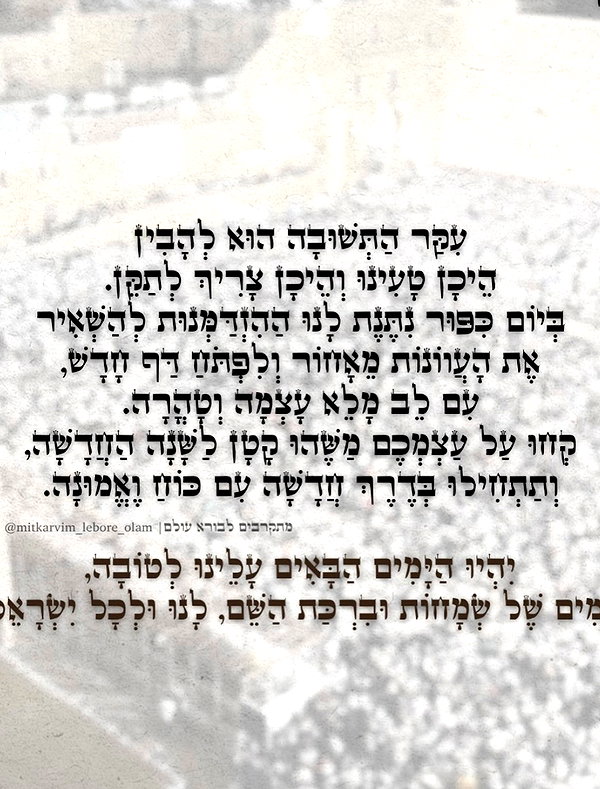 tirtza_cohen instagram image archive image