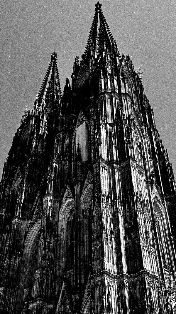 liashaked liashaked archive image