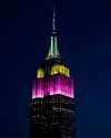 empirestatebldg Altpins Profile Picture