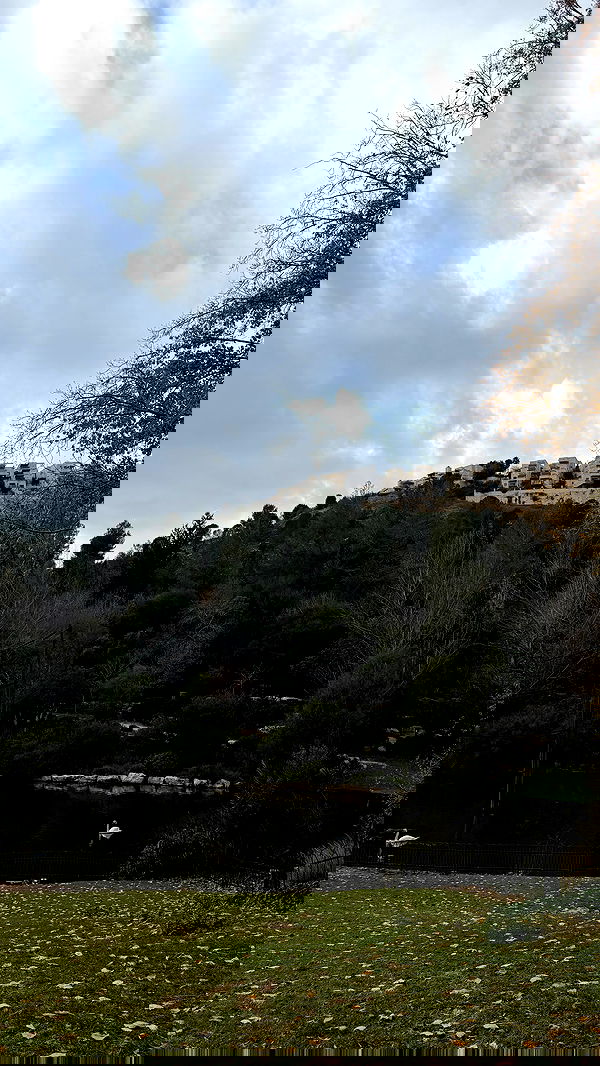 strawberryshanz strawberryshanz archive image