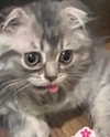 wannabeyourbabygirl Altpins Profile Picture