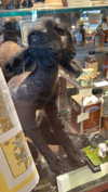 butter.on.a.poptart69 Altpins Profile Picture