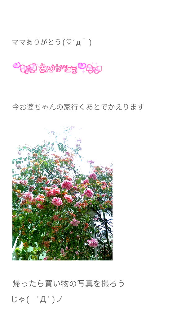 Archived image from @piyokoblog on Instagram