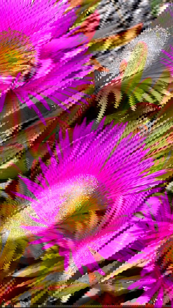 taylor.creeden taylor.creeden archive image