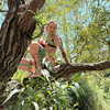 strawberryshanz Altpins Profile Picture