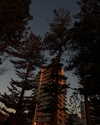 allygravemade Altpins Profile Picture