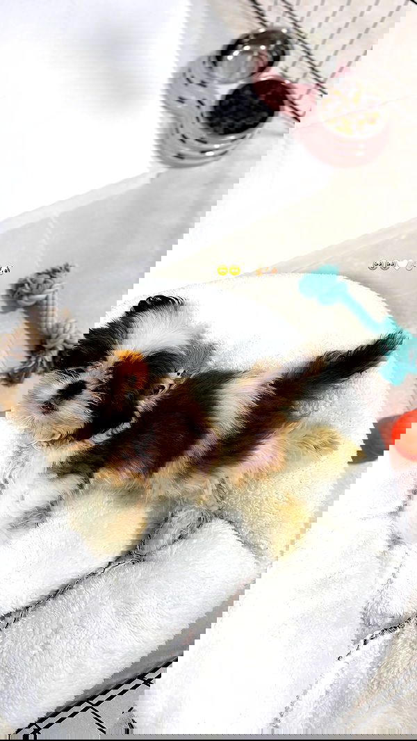 noammalka___ noammalka___ archive image