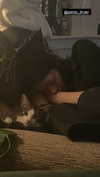 jahia_brown Altpins Profile Picture