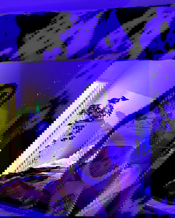 jtilb2 image ~ Altpins