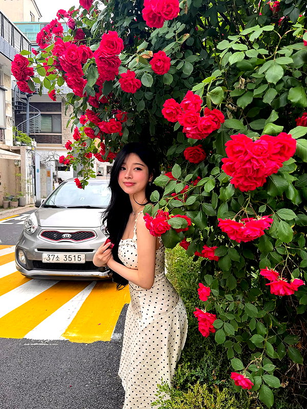 tgiangya instagram image archive image