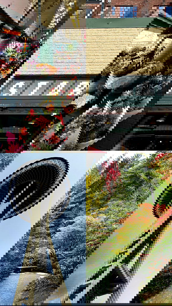 taylor.creeden taylor.creeden archive image