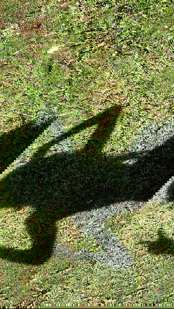 shunli__mei shunli__mei archive image