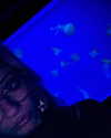 sp1der_eggs Altpins Profile Picture