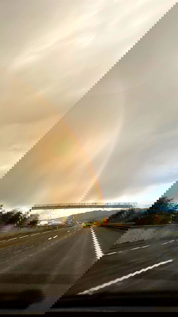 manjolamuriqi manjolamuriqi archive image