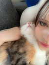 silkton Altpins Profile Picture