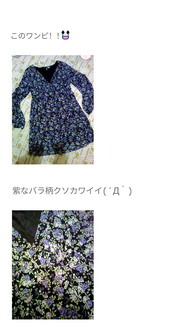 piyokoblog archive image