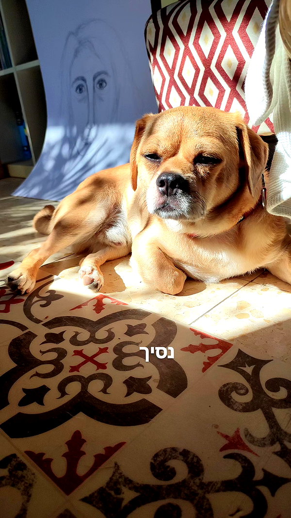 alma.almog instagram image archive image