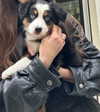lollinski Altpins Profile Picture