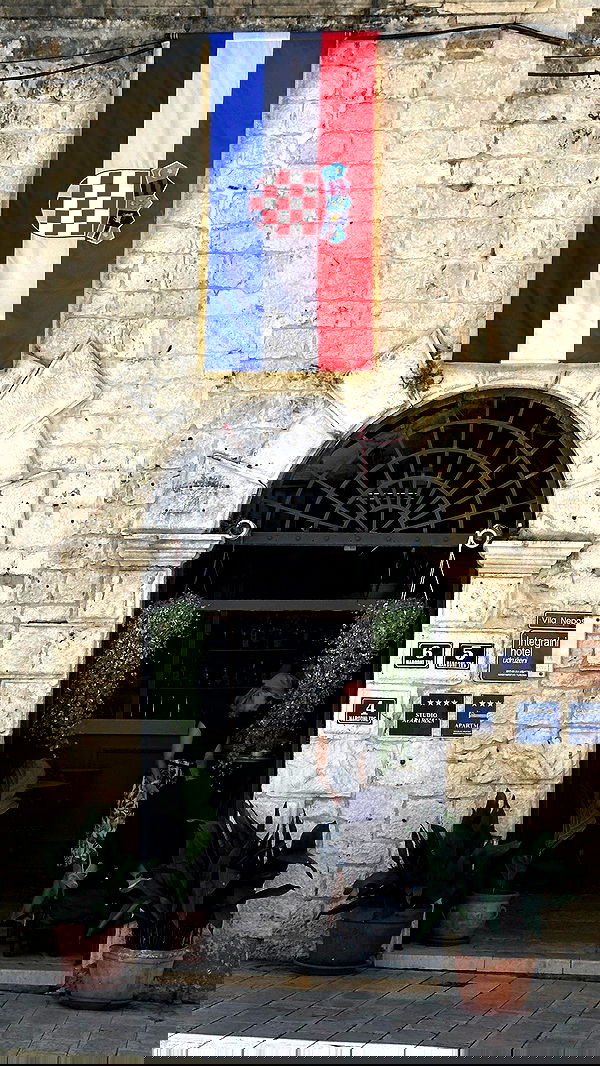 taylor.creeden taylor.creeden archive image