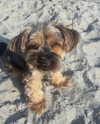 edvarda_ Altpins Profile Picture