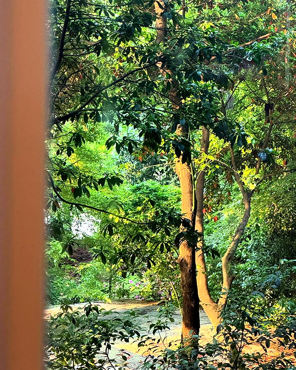 ll.lu1s instagram image archive image